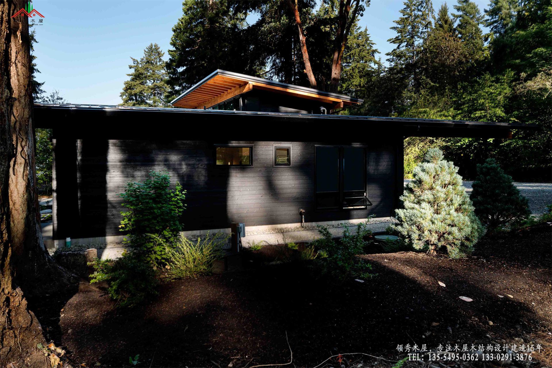 现代森林木屋-外景整体背面特写01